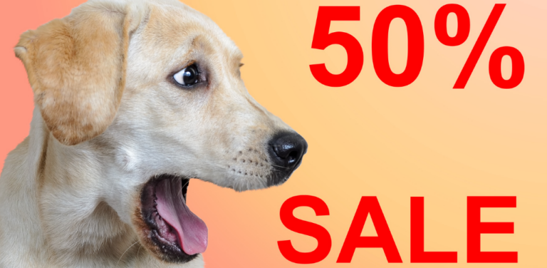 Cyber Monday for Pet Lovers: Discounts on Pet Supplies and Treats